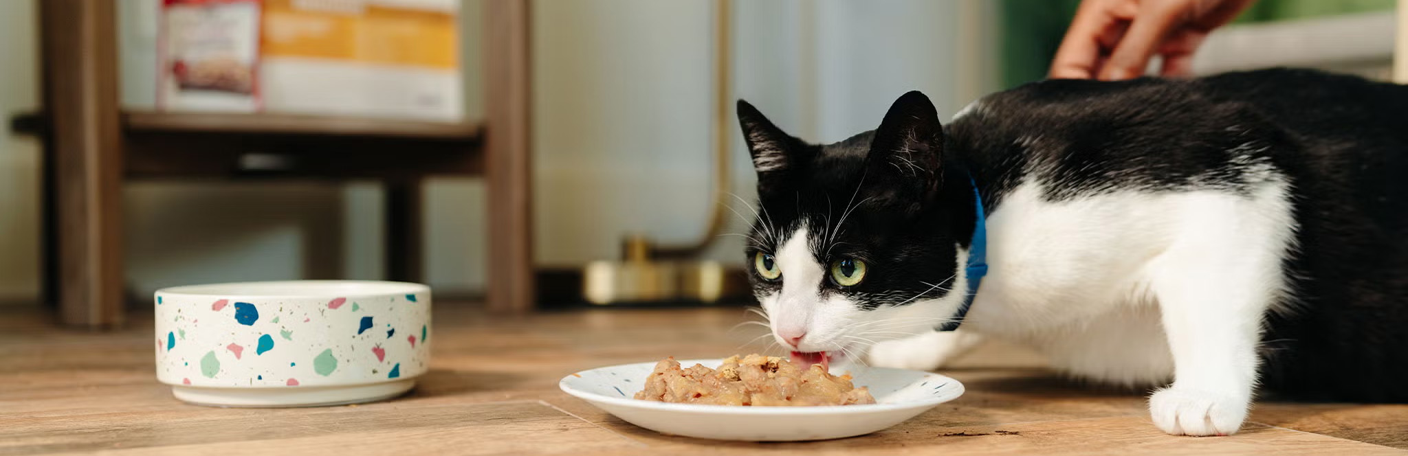 Dierbenodigdheden Winkel -Dierbenodigdheden Winkel 1 1