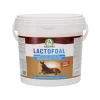 Audevard Lactofoal