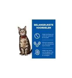 Hill's PD C/D Multicare Urinary Care Stoofpotje Met Kip & Groente - 24 X 82 Gram 8 Hill's PD C/D Multicare Urinary Care Stoofpotje Met Kip & Groente - 24 X 82 Gram -Dierbenodigdheden Winkel hill s pd cd multicare urinary care stoofpotje met kip groente 24 x 82 gram 3