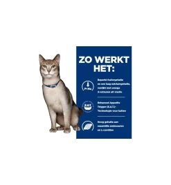 Hill's Prescription Diet K/D Kidney Care Met Tonijn - 1.5 Kg -Dierbenodigdheden Winkel hill s prescription diet kd kidney care met tonijn 3