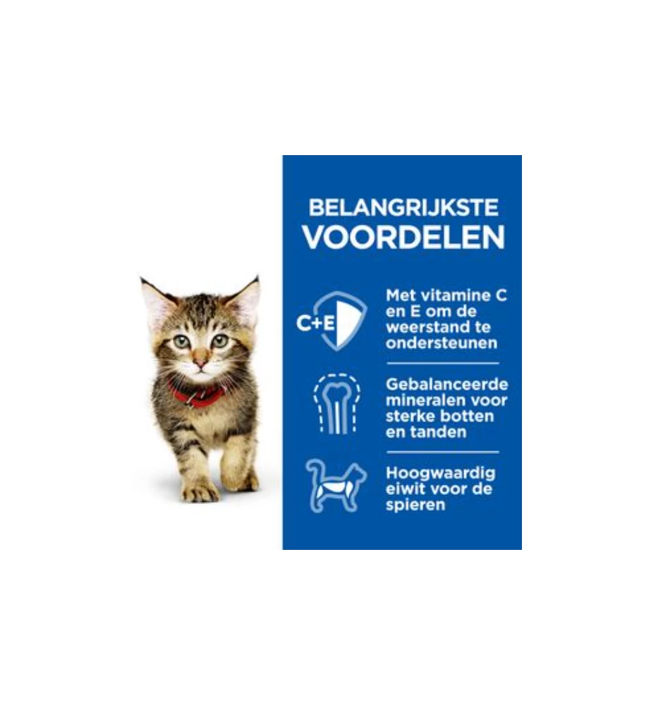 Hill's Science Plan Healthy Cuisine Kitten Stoofpotje Kip & Zeevis - 4 X 12 X 80 Gram 2 Hill's Science Plan Healthy Cuisine Kitten Stoofpotje Kip & Zeevis - 4 X 12 X 80 Gram - Afbeelding 2