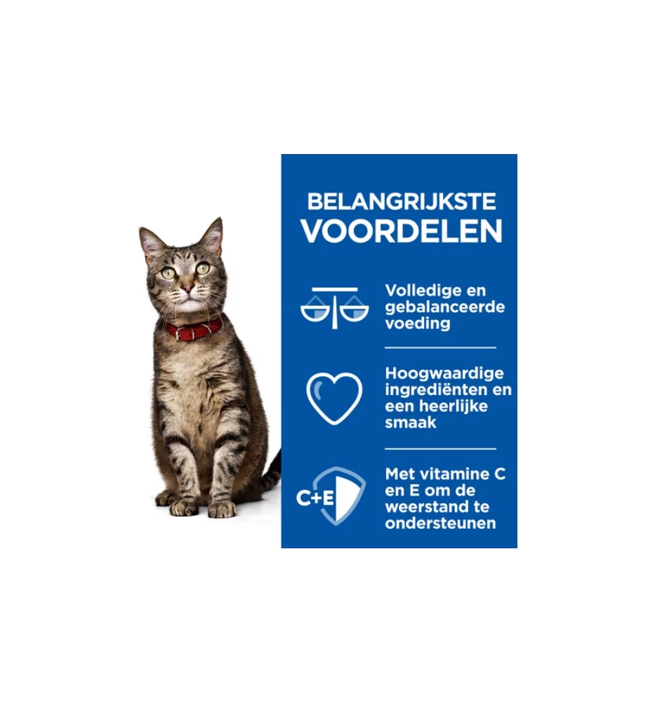 Hill's Science Plan Healthy Cuisine Volwassen Kat Stoofpotje Kip & Zalm - 4 X 12 X 80 Gram 2 Hill's Science Plan Healthy Cuisine Volwassen Kat Stoofpotje Kip & Zalm - 4 X 12 X 80 Gram - Afbeelding 2