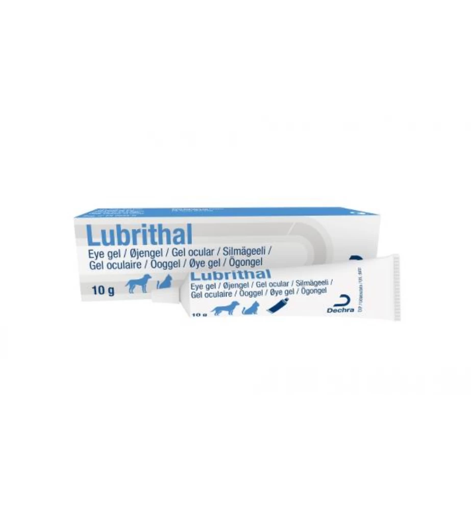 Lubrithal Ooggel - 10 Gram 1 Lubrithal Ooggel - 10 Gram