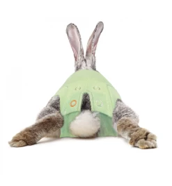 Medical Pet Shirt (Konijn) -Dierbenodigdheden Winkel medical pet shirt konijn groen 2