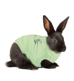Medical Pet Shirt (Konijn)