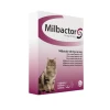 Milbactor Grote Kat (+2 Kg)