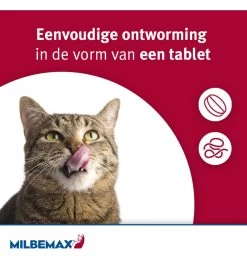 Milbemax Grote Kat -Dierbenodigdheden Winkel milbemax grote kat 2