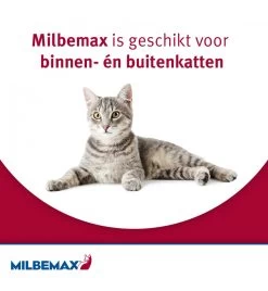 Milbemax Grote Kat -Dierbenodigdheden Winkel milbemax grote kat 3