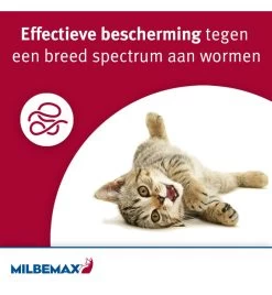 Milbemax Kleine Kat / Kitten -Dierbenodigdheden Winkel milbemax kleine kat kitten 1