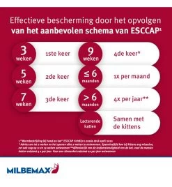 Milbemax Kleine Kat / Kitten -Dierbenodigdheden Winkel milbemax kleine kat kitten 2