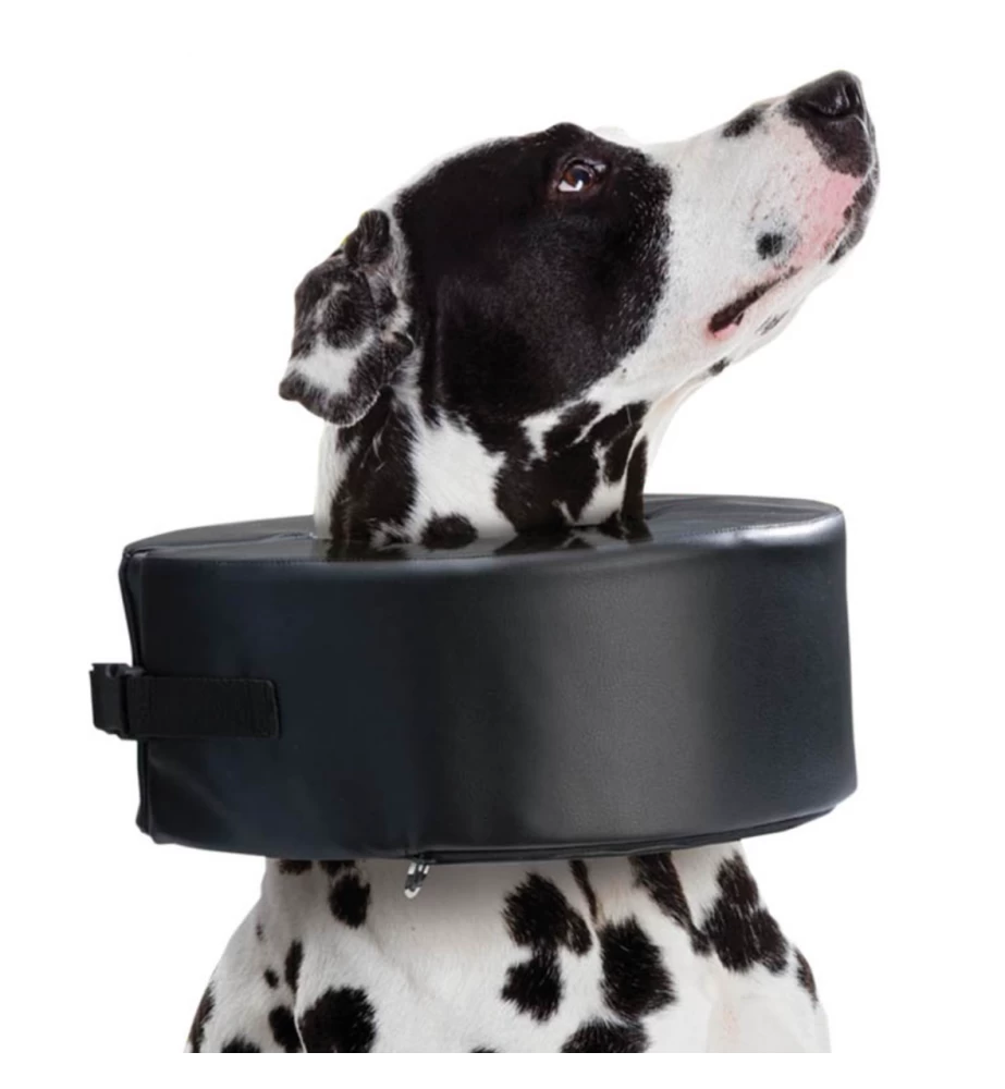 Moon Collar (Schuimkraag) 2 Moon Collar (Schuimkraag) - Afbeelding 2