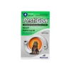 Pestigon 50 Mg Spot-On Kat - 4 Pipetten