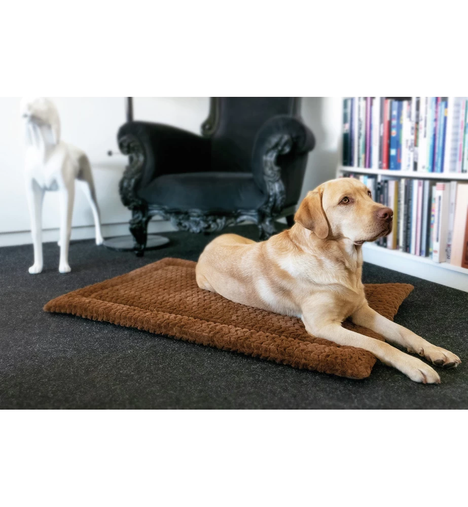 Petlando Deken Daisy Bruin 2 Petlando Deken Daisy Bruin - Afbeelding 2