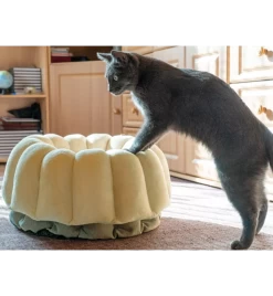 Petlando Ligmand Kat Vienna -Dierbenodigdheden Winkel petlando ligmand kat vienna 1 2