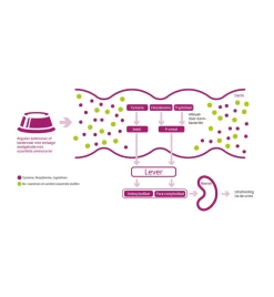 Porus One - 30 X 500 Mg -Dierbenodigdheden Winkel porus one 30 x 500 mg 3
