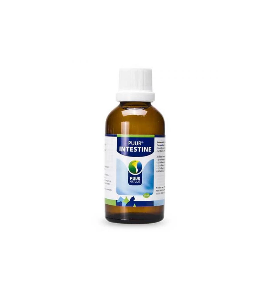 PUUR Intestine - 50 Ml 1 PUUR Intestine - 50 Ml