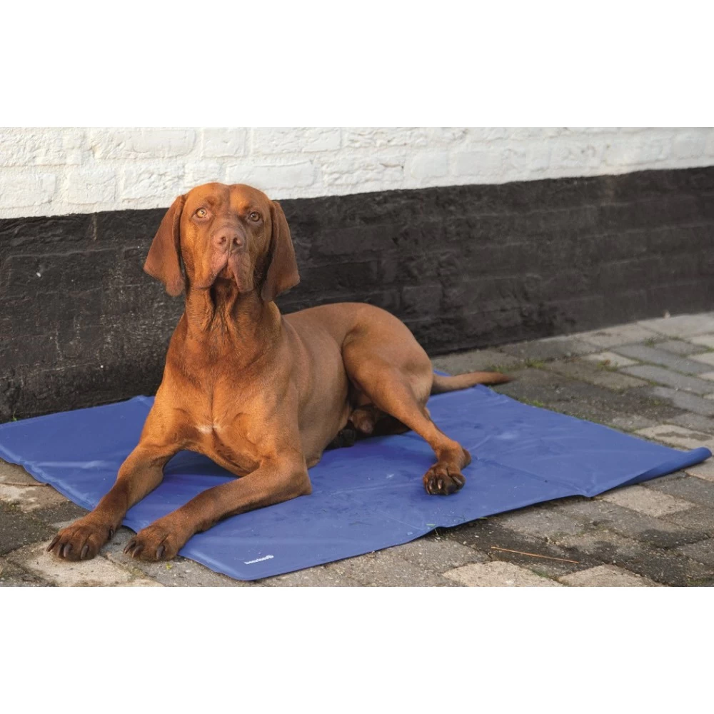 Beeztees Quick Cooler Koelmat IZI Blauw 3 Beeztees Quick Cooler Koelmat IZI Blauw - Afbeelding 3