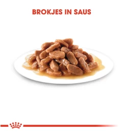 Royal Canin Kitten Portie Morsels In Gravy - 12 X 85 Gram -Dierbenodigdheden Winkel royal canin kitten morsels in gravy 12 x 85 gram 2