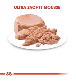 Royal Canin Mother & Babycat Mousse - 12 X 195 Gram -Dierbenodigdheden Winkel royal canin mother babycat mousse 12 x 195 gram 2