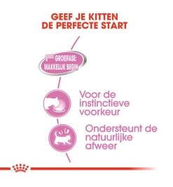 Royal Canin Mother & Babycat Mousse - 12 X 195 Gram -Dierbenodigdheden Winkel royal canin mother babycat mousse 12 x 195 gram 3