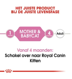 Royal Canin Mother & Babycat Mousse - 12 X 195 Gram -Dierbenodigdheden Winkel royal canin mother babycat mousse 12 x 195 gram 4