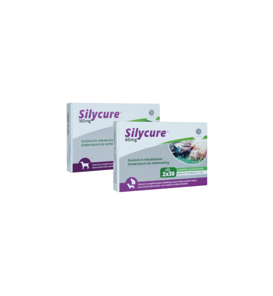 Silycure 40 Mg - 60 Tabletten 3 Silycure 40 Mg - 60 Tabletten - Afbeelding 3