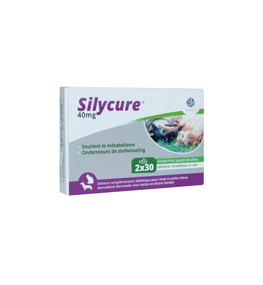 Silycure 40 Mg - 60 Tabletten 1 Silycure 40 Mg - 60 Tabletten