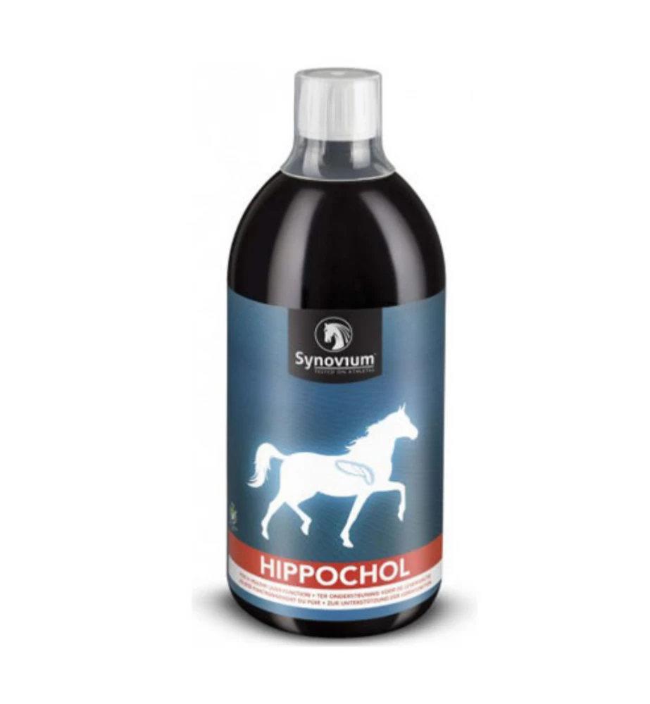 Synovium Hippochol - 1 Liter 1 Synovium Hippochol - 1 Liter