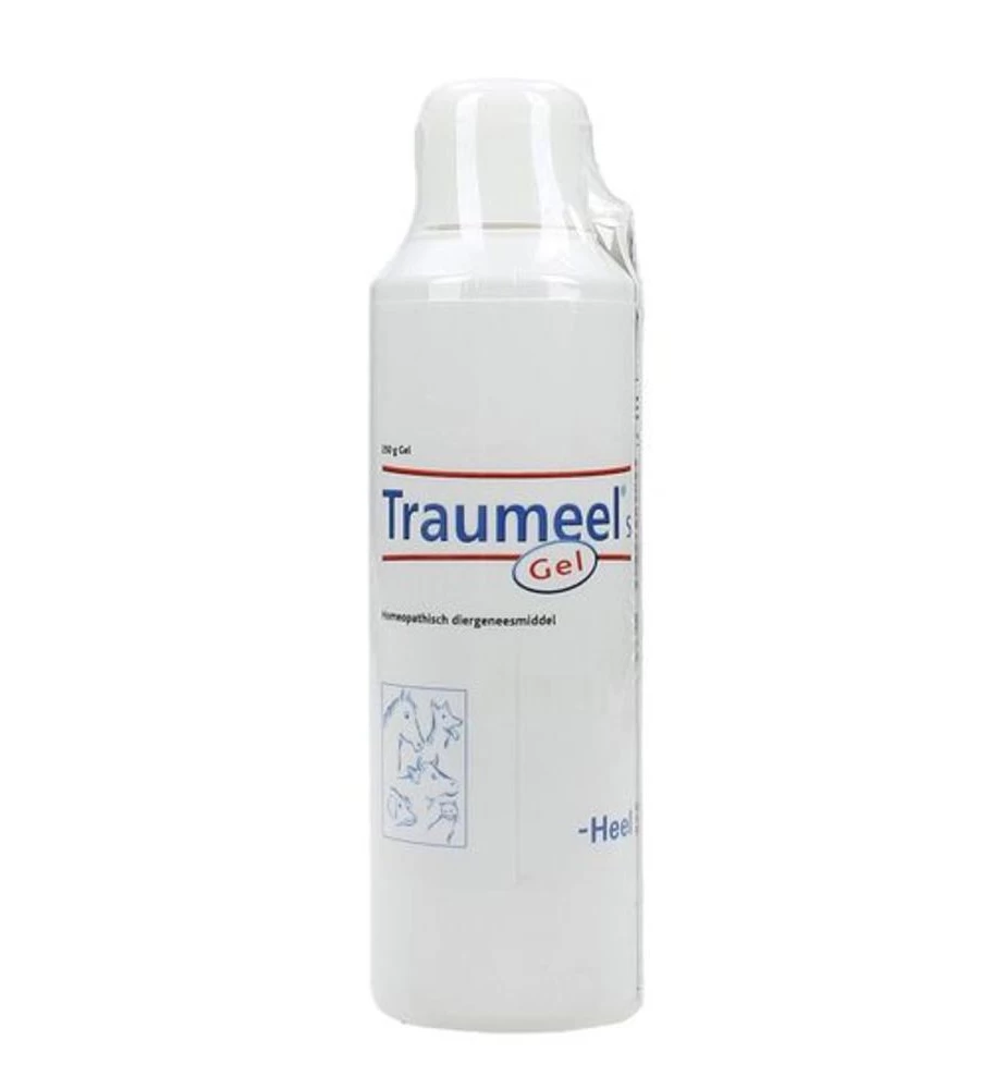 Traumeel S Gel - 250 Gram 1 Traumeel S Gel - 250 Gram