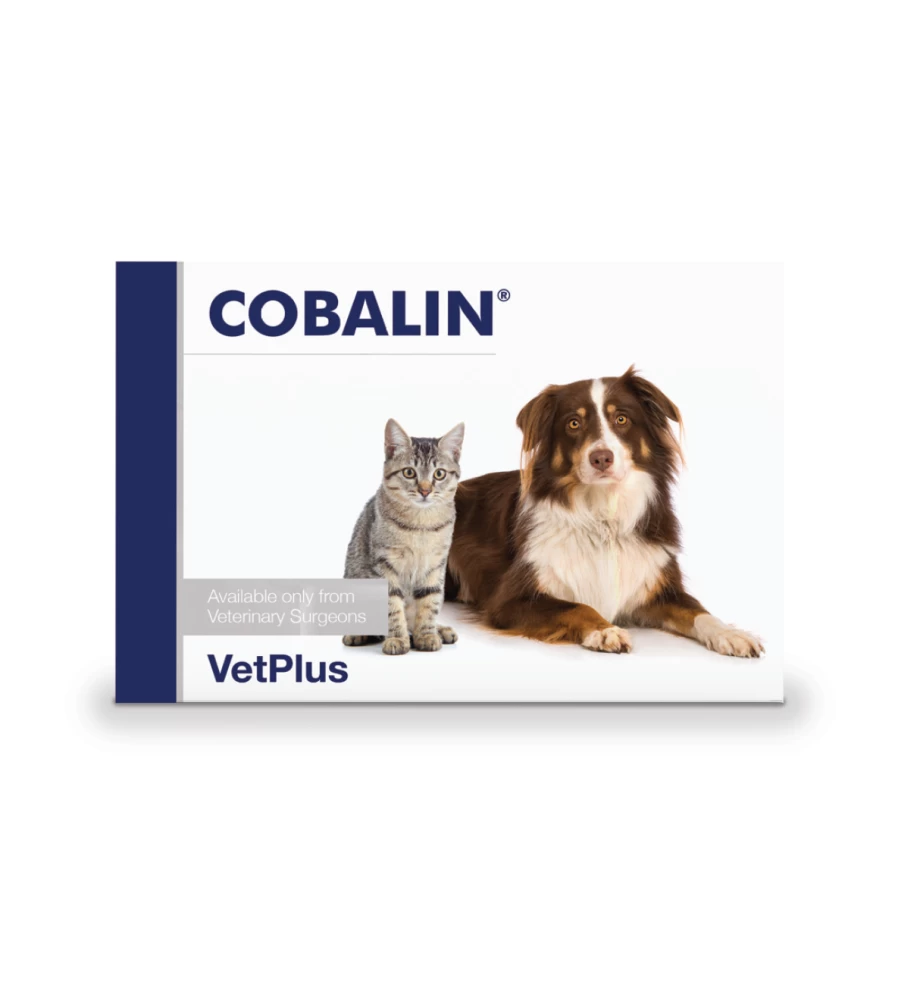 VetPlus Cobalin - 60 Capsules 3 VetPlus Cobalin - 60 Capsules - Afbeelding 3