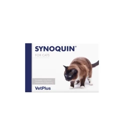 VetPlus Synoquin EFA Kat - Capsules
