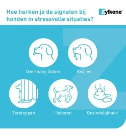 Vetoquinol Zylkène 75 Mg Capsules (- 10 Kg) -Dierbenodigdheden Winkel zylkene 75 mg capsules 3